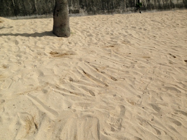 社長の名前を砂浜に書いてみた