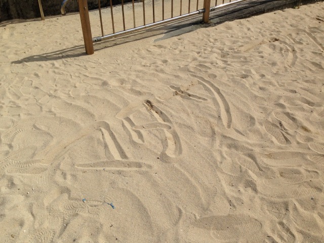 砂浜に専務の名前を書いてみた